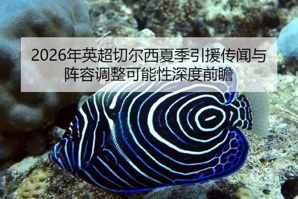 2026年英超切尔西夏季引援传闻与阵容调整可能性深度前瞻