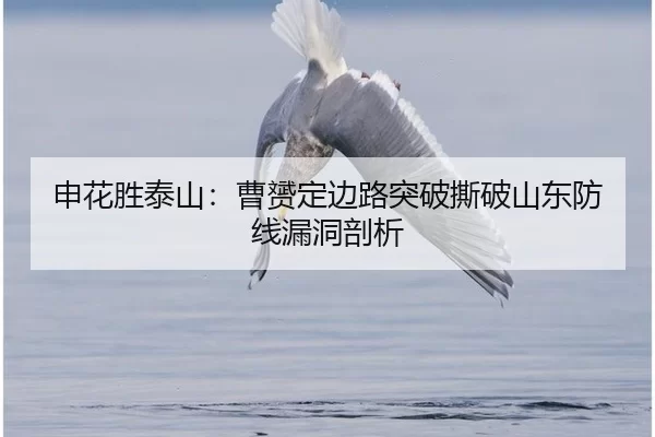 申花胜泰山：曹赟定边路突破撕破山东防线漏洞剖析