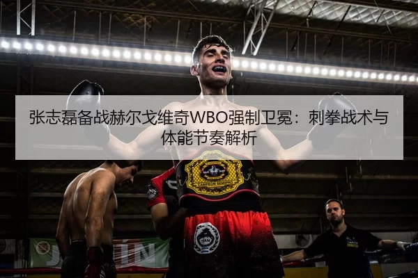 张志磊备战赫尔戈维奇WBO强制卫冕：刺拳战术与体能节奏解析