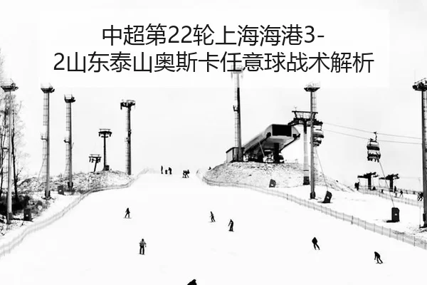zhong-chao-di-lun-shang-hai-hai-gang-shan-dong-tai-shan-ao-si-ka-ren-yi-qiu-zhan-shu-jie-xi-3-981.jpg
